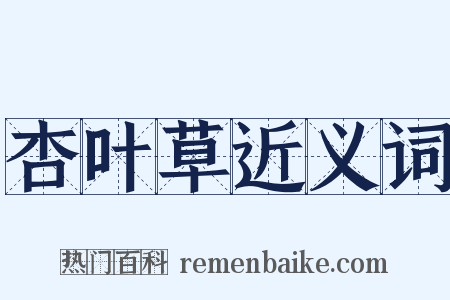 杏叶草近义词是什么意思的图片